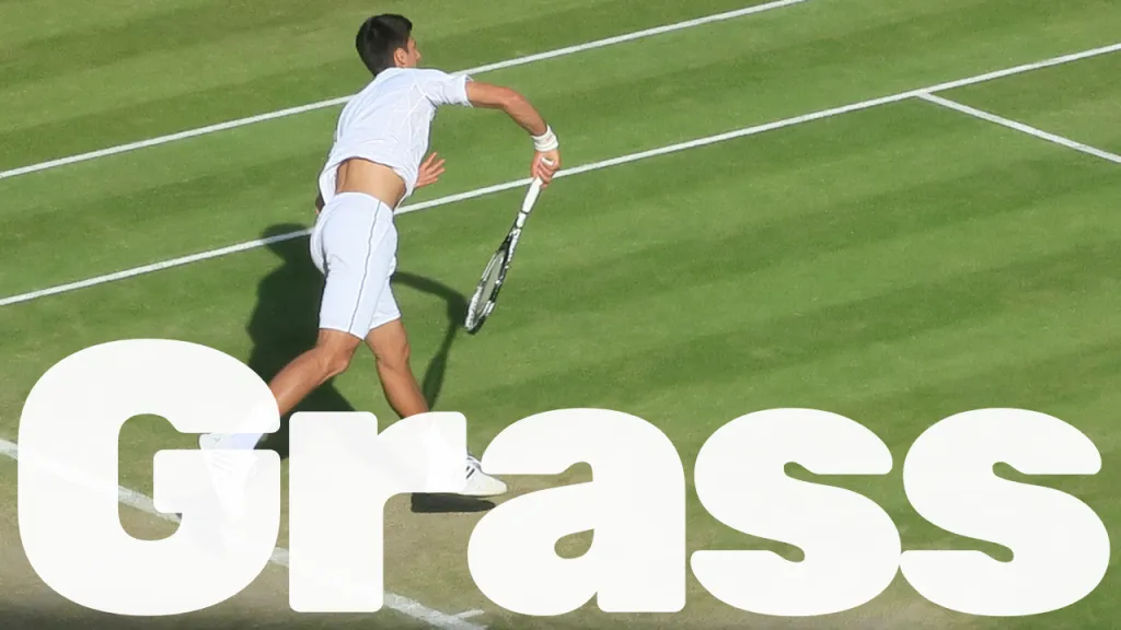 Grass tennis court with white court lines on manicured lawn